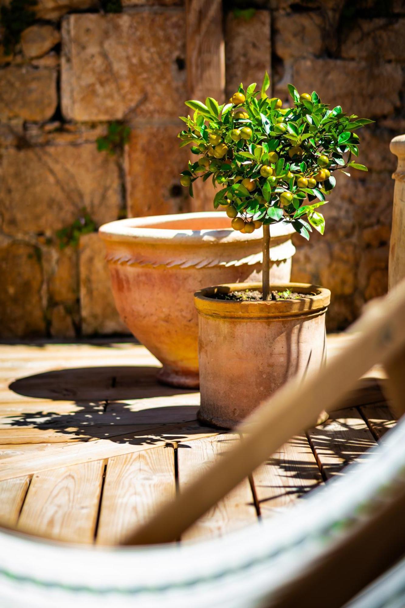 Maison Des Chanoines Sarlat-la-Canéda Dış mekan fotoğraf